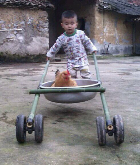 农村小朋友玩鸡新玩法。