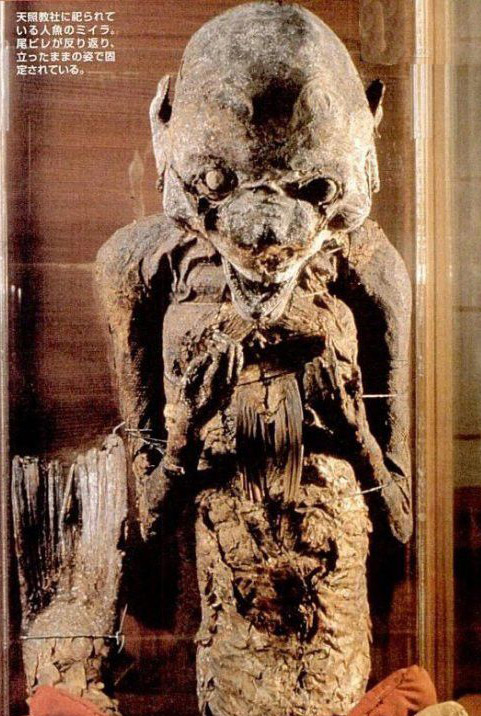 日本藏有世界最大美人鱼木乃伊 现已有1000多年历史