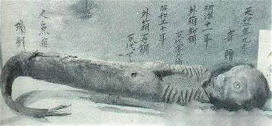 日本藏有世界最大美人鱼木乃伊 现已有1000多年历史