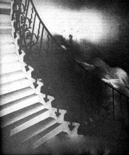 1、郁金香楼梯的鬼影