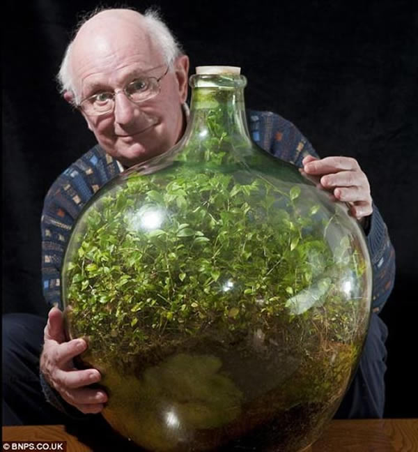 今年80岁的大卫-拉蒂默抱着他的“玻璃瓶花园”，这个微型生态系统是53年前种植的，仅在1972年浇过一次水，之后就完全密封起来
