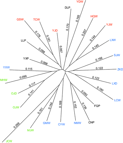 邻接法聚类分析和遗传漂变分析（支上数字）