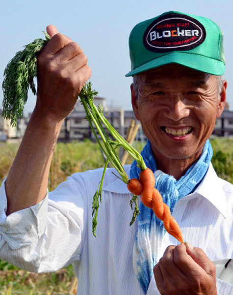 日本奈良县斑鸠町的一位农民收获形如麻花状的胡萝卜