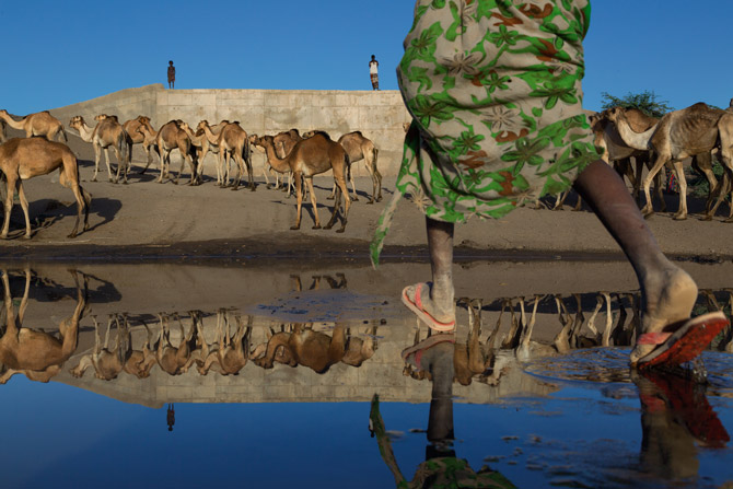 只要是有水的地方，就有骆驼和牧民。但传统半游牧生活的空间已经愈来愈小。这道堤坝在为了把沙漠变成大片甘蔗田的计画下兴建，目的是将衣索比亚的阿瓦士河分流至他处。