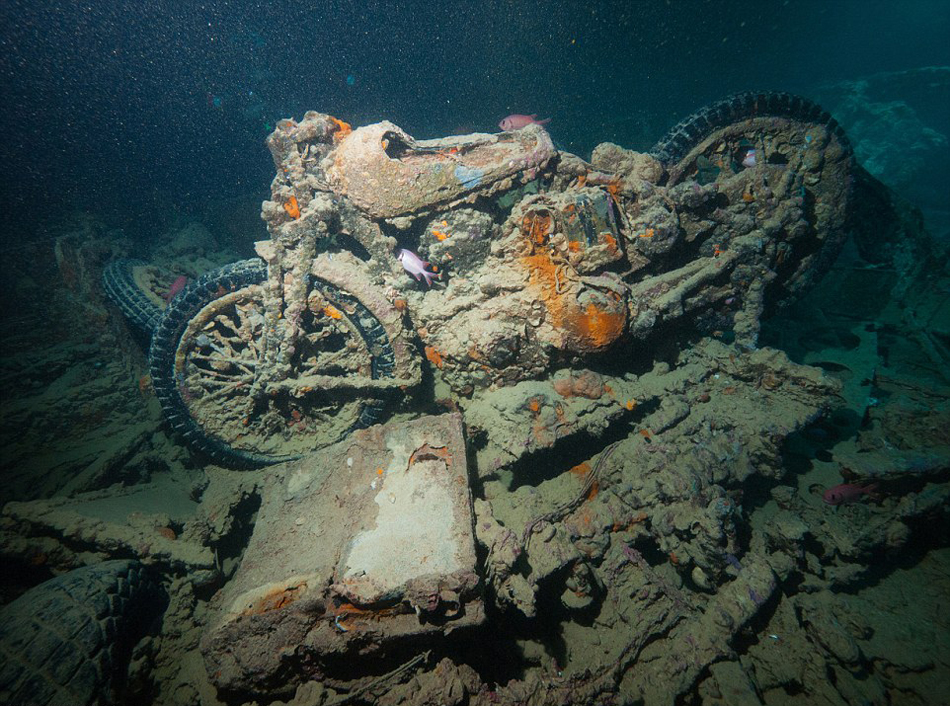 英国潜水员探访红海海底二战沉船“蓝蓟花号”(SS Thistlegorm)残骸遗址