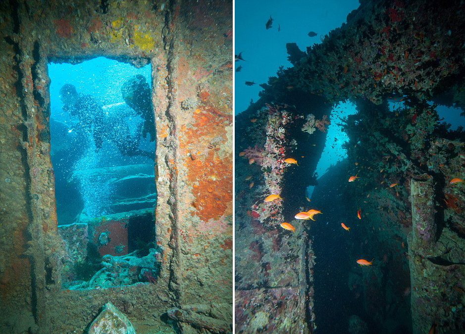 英国潜水员探访红海海底二战沉船“蓝蓟花号”(SS Thistlegorm)残骸遗址