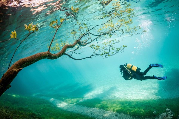 奥地利一个湖的水底情况成为季军作品