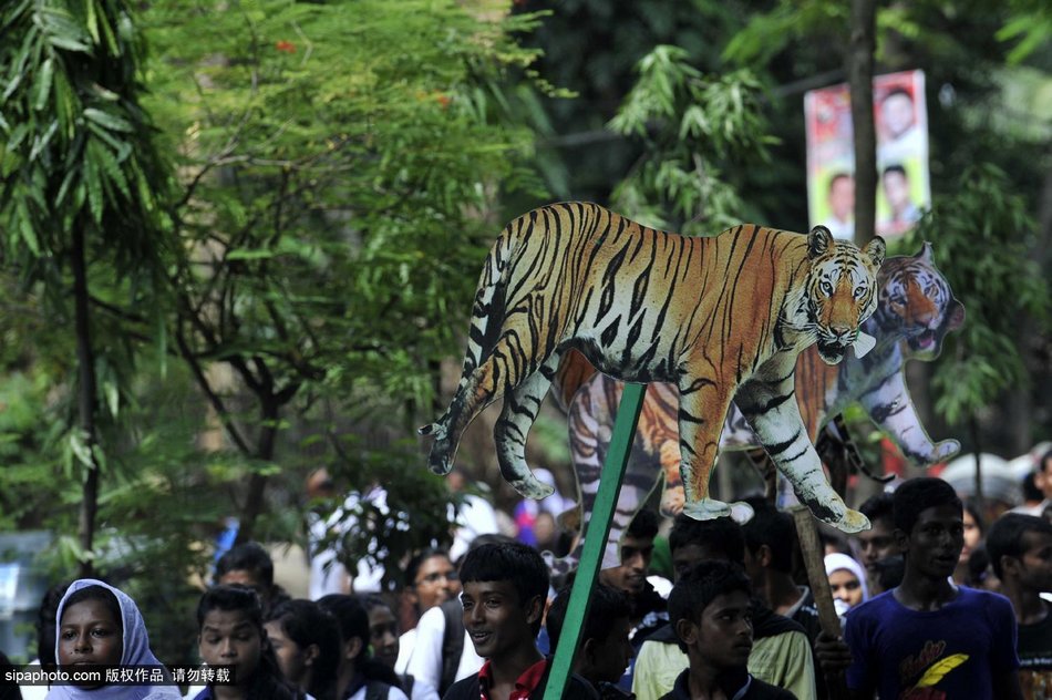 孟加拉国民众在街上举牌游行庆祝达卡全球老虎日活动