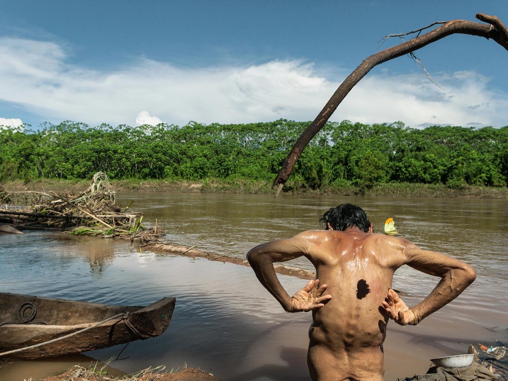 洪水冲来的漂流物堵塞了库内用来洗澡的马尼基河浅水区。亚马逊河流域常见的一隻金顶大粉蝶在他的背上投射出影子。大多数齐曼内人就算年岁已高，身材也依然精瘦，因为他们每
