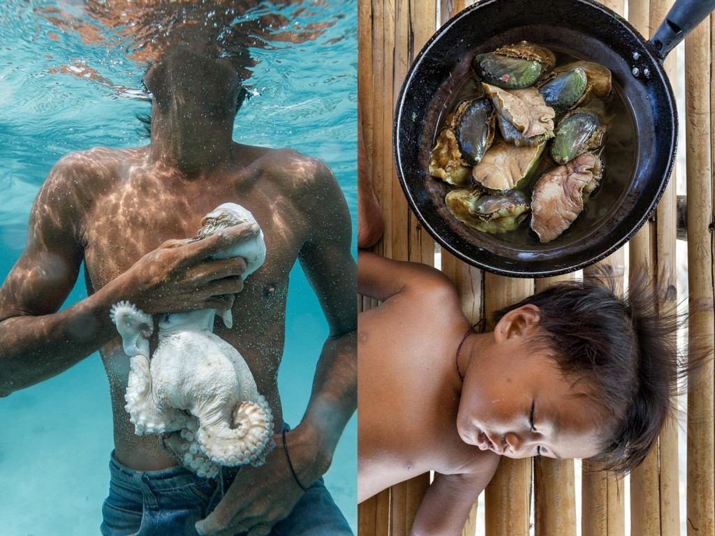 一名巴瑶族鱼夫从船上潜入海中，上来时手中抓著一隻他叉到的章鱼。除了一种用树薯泥做成的菜餚以外，巴瑶族的食物全部来自海洋。一个巴瑶族婴儿（右）在一锅鲍鱼旁小睡，这