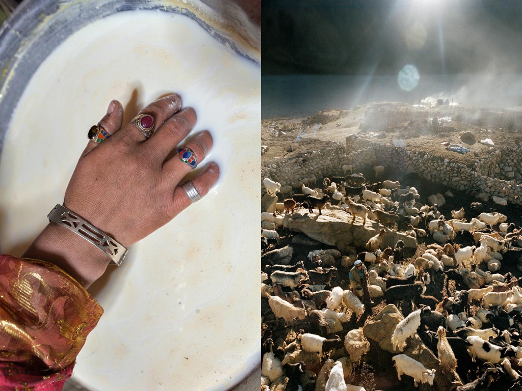 一名吉尔吉斯族妇女用手滤去犛牛奶中的牛毛和其他杂物。新沙勒帕米尔是巴基斯坦北部与中国接壤的一个偏远地区，当地的牧人正在照料他们的畜群（右）。犛牛、山羊和绵羊在夏