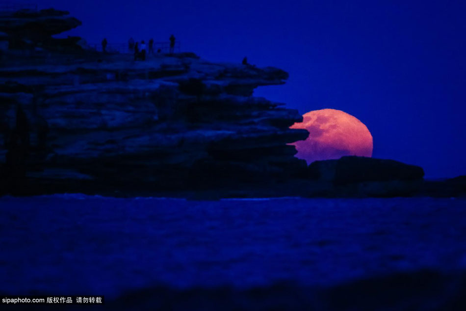 澳大利亚悉尼邦迪海滩升起超级月亮