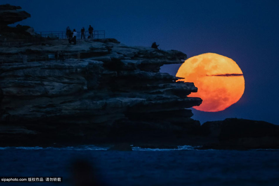 澳大利亚悉尼邦迪海滩升起超级月亮