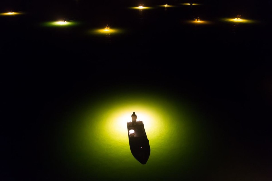 到了冬天，日本的玻璃鳗捕渔季开始了。渔民在船上用汞灯将周围的水域照亮，以吸引鳗鱼聚集于张开的网中。摄影师：酒井佑辅。