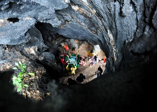 江西海口村一棵1800多岁国家级古樟树根底成洞供人玩乐游览