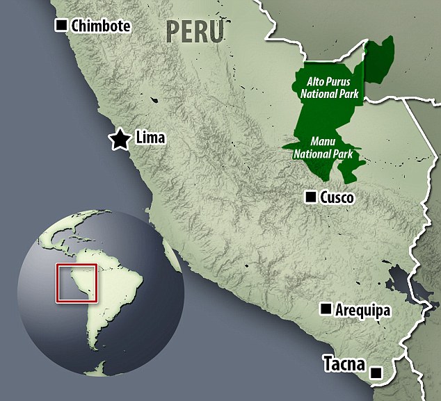 秘鲁马努国家公园的隐世部落马什科皮罗族持弓箭洗劫村庄