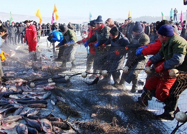 冬捕保留传统的捕鱼方式，渔民拉拽鱼网打捞鱼获。