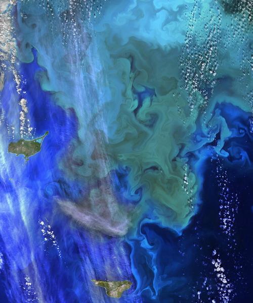 美国宇航局地球资源8号卫星拍摄到阿拉斯加州海域出现巨大的珍珠绿和蓝漆色“漩涡”