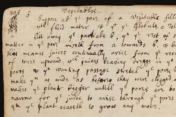 艾萨克-牛顿爵士对植物学的兴趣并不仅限于从苹果树上坠落的苹果。根据这位物理学巨匠留下的笔记，他对植物学也有一定研究。在牛顿大学时代用过的一个笔记本中，有半页描述
