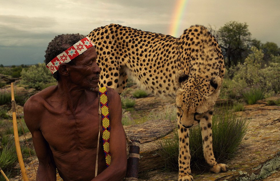 探秘非洲原始部族，猎手持弓箭与猎豹作伴。