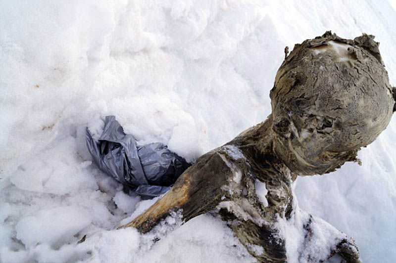 尸体全身被埋在雪里，只露出头部和左手。