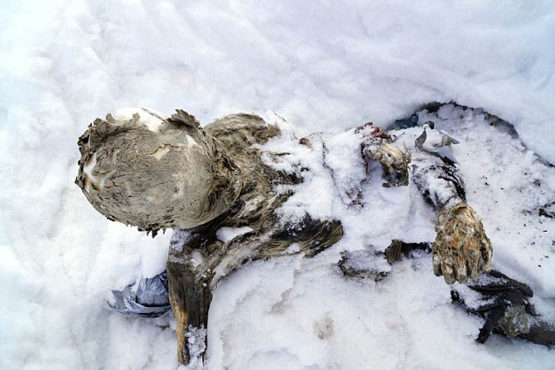 有登山者日前在墨西哥最高峰奥里萨巴火山上发现两具尸体。尸体已经变成干尸，目前尚不清楚死者的身份。