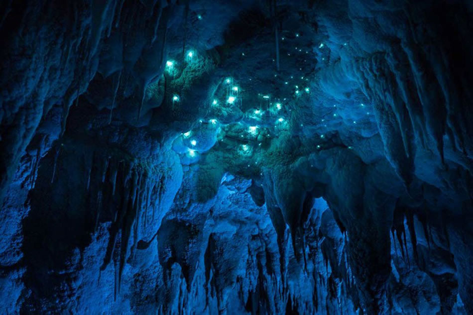 Luminosity：新西兰北岛石灰岩洞穴里成千上万的萤火虫
