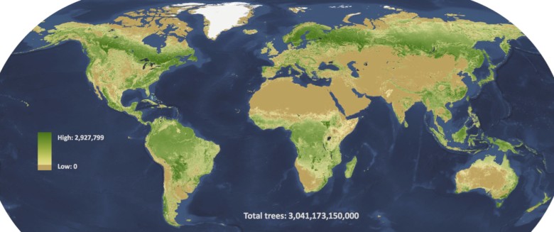 全球树木分布图