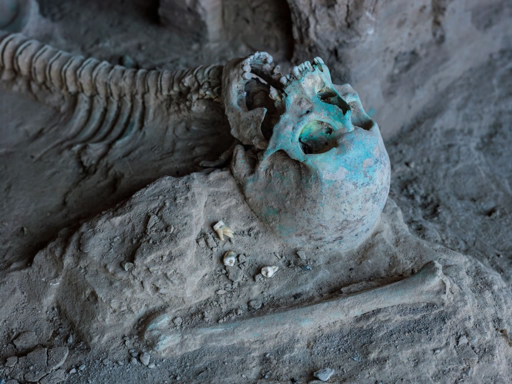 艾娜克遗址中，一具被土里的铜所染色的骨骸躺在一座佛塔旁。这个人究竟是活在寺院运作时期或是后来的年代，则不得而知。 Photograph by Simon Nor