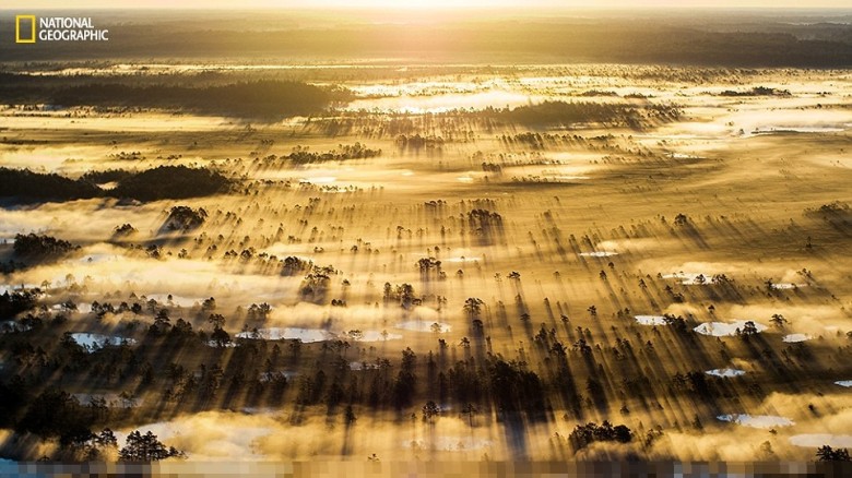 爱沙尼亚女摄影师里里普（Kaiti Lillipuu）利用无人机，从高空拍下一处沼泽日出前的迷人美景。