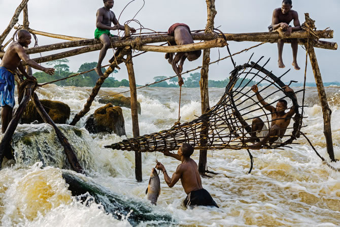 瓦杰尼亚的渔民仍然会制作巨大的陷阱，在基桑加尼郊外的急流中捕鱼，就如同探险家亨利．摩顿．史坦利在1887年著名的刚果河航行中首次观察到的一样。 Photogra
