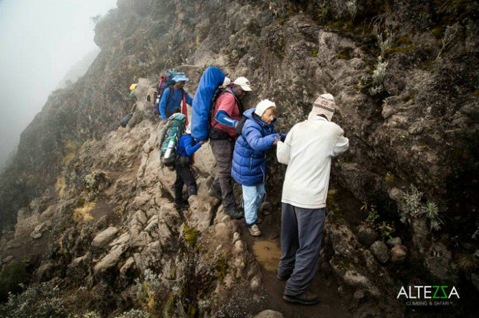 86岁俄罗斯老太Angela Vorobyeva成功登上非洲最高峰乞力马扎罗山