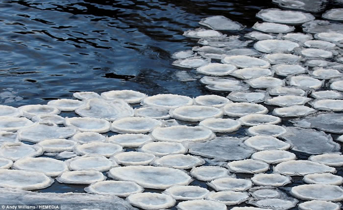 冰块被冻成了平底的、圆形的形状。这种特殊的形状是由漂浮在河流上的旋转泡沫冻结而成的。