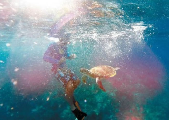游客可在海底，零距离观察海洋生物。