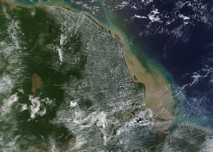 卫星图片可见，亚马逊河口非常混浊。