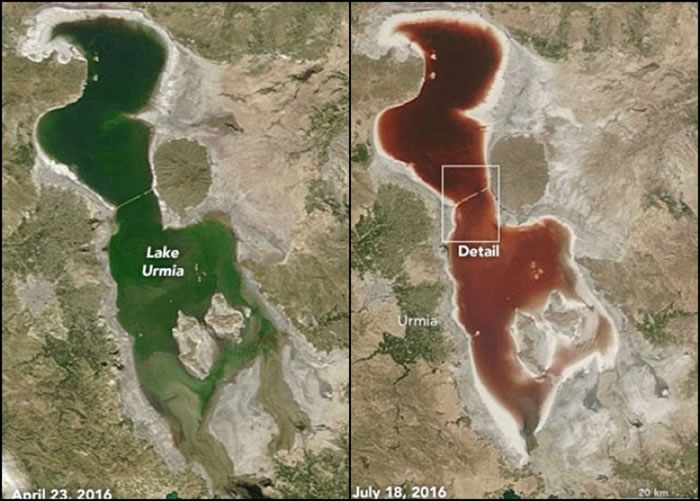 伊朗尔米亚湖（Lake Urmia）受夏季干旱影响湖水变成血红色