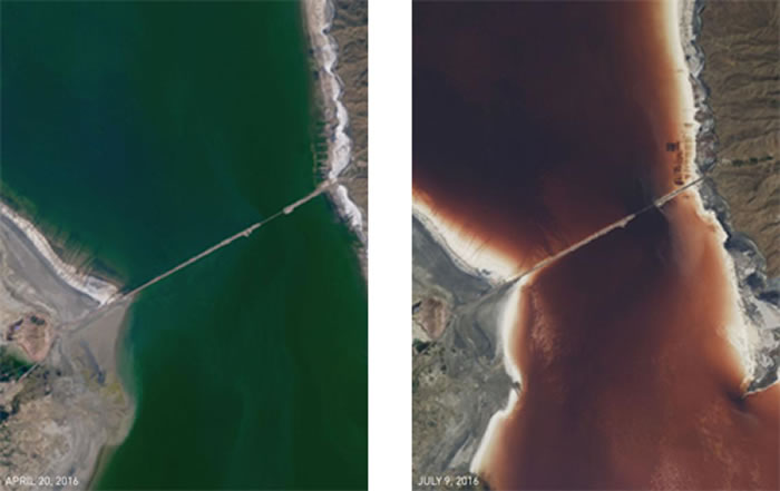 尔米亚湖桥梁周围水域放大图：可看出4月20日仍为绿色，到7月9日即转为红色。 / PHOTOGRAPH BY NASA EARTH OBSERVATORY