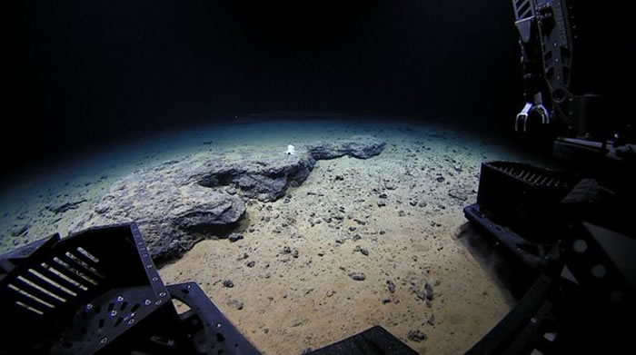 探索来自全球最深太平洋马里亚纳海沟的声音