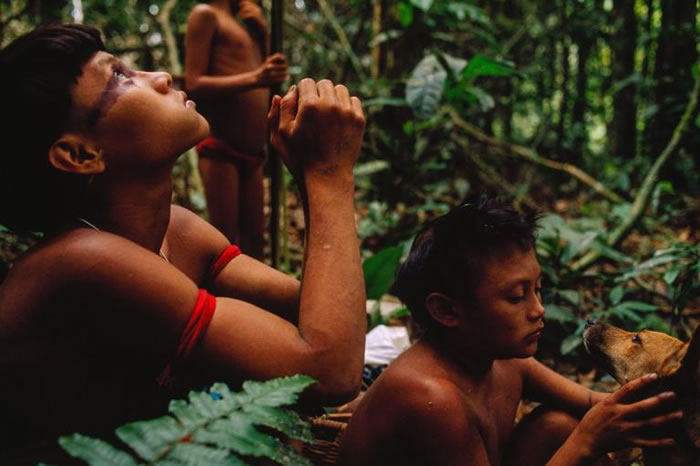 一群亚诺玛米人在森林中打猎。他们和周遭环境的互动非常微妙，甚至不留下一点人类足迹。 PHOTOGRAPH BY MICHAEL NICHOLS, NATIONA