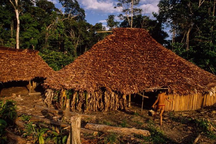亚马逊雨林深处的亚诺玛米公社。村民们在此进行游耕、火耕。 PHOTOGRAPH BY MICHAEL NICHOLS, NATIONAL GEOGRAPHIC