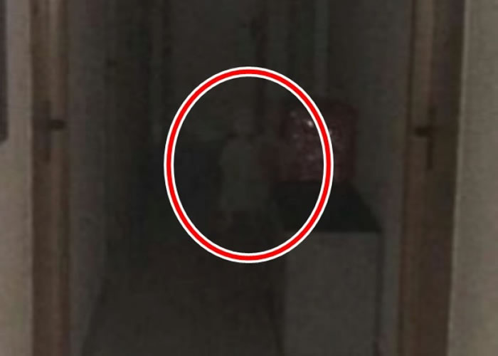 男子从照片发现有小童（红圈）深夜现身市政厅办公室。