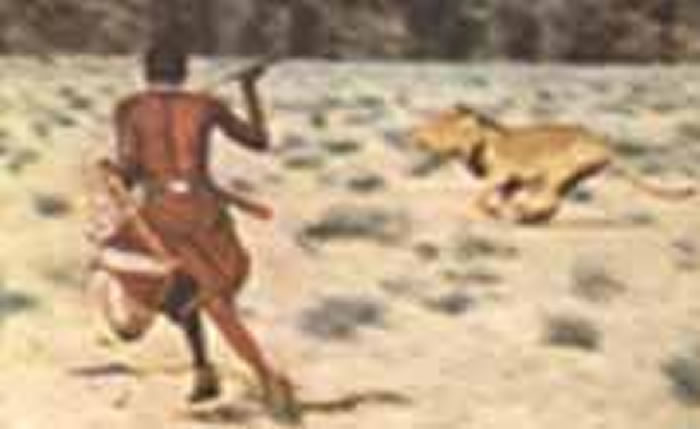 视频：凶猛非洲马赛人猎杀狮子 三个马赛人就吓跑一群狮子