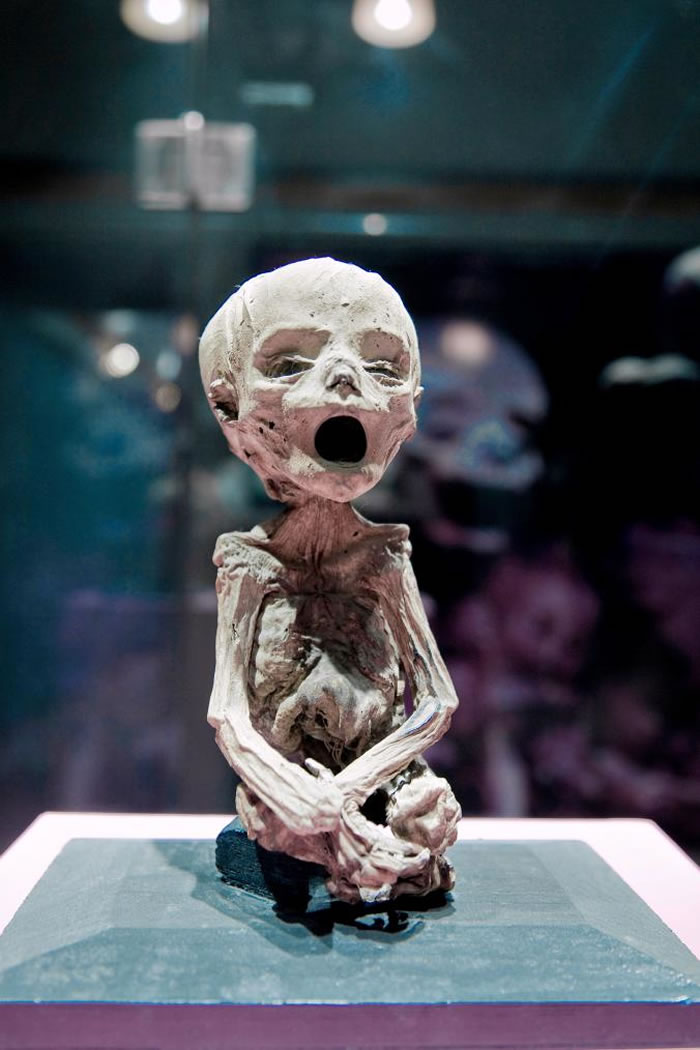 木乃伊博物馆是墨西哥的热门景点之一，图中为博物馆展示的幼儿木乃伊。 PHOTOGRAPH BY DANITA DELIMONT, GETTY IMAGES