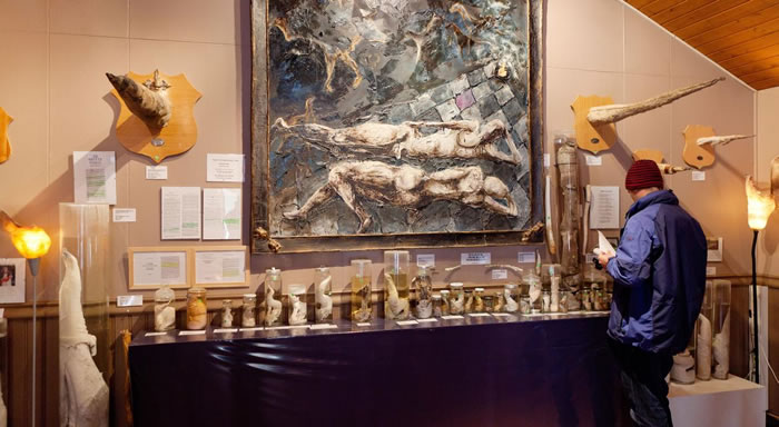 雄性生殖器官博物馆展示了超过215个阴茎和雄性生殖器官，来自各种陆地与海洋生物。 PHOTOGRAPH BY ARCTIC IMAGES/ALAMY STOCK