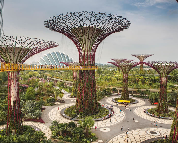 这些「超级树」是新加坡的象征，位于101公顷的滨海湾花园，高达20至50公尺，白天搜集太阳能供夜晚点亮灯光秀，树干则是垂直花园，布满超过15万株植物。 PHOT