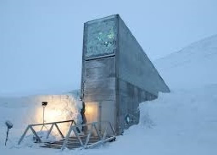 “末日图书馆”位于北极群岛斯瓦巴的冰天雪地。