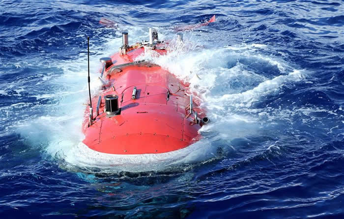 中国载人潜水艇蛟龙号在西北太平洋雅浦海沟下潜途中意外发现新种海兔