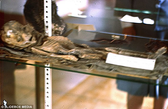 秘鲁超自然爱好者在马丘比丘附近古城发现近2000年历史3指巨掌木乃伊 专家疑伪造