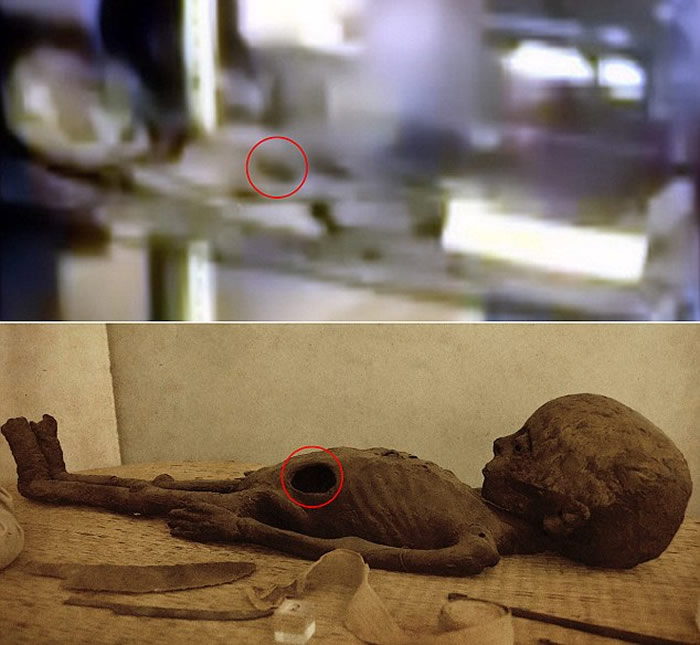 秘鲁超自然爱好者在马丘比丘附近古城发现近2000年历史3指巨掌木乃伊 专家疑伪造
