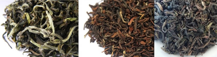 新闻背后：“红茶皇者” 印度西孟加拉省北方的大吉岭红茶